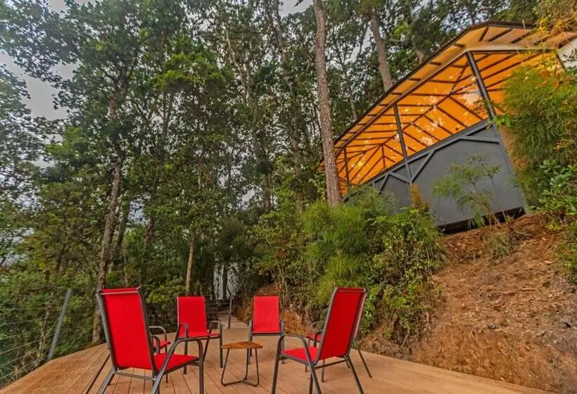 리조트 Dantica Cloud Forest Lodge