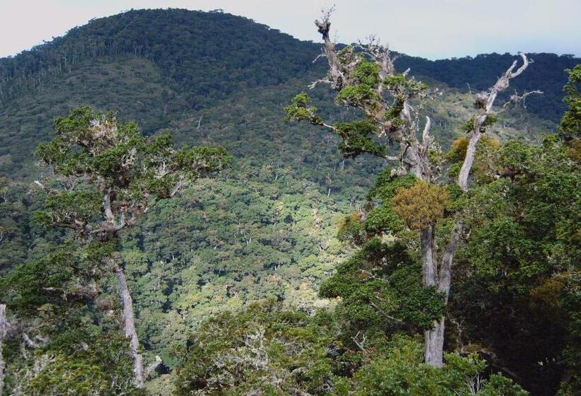 Курорт Dantica Cloud Forest Lodge