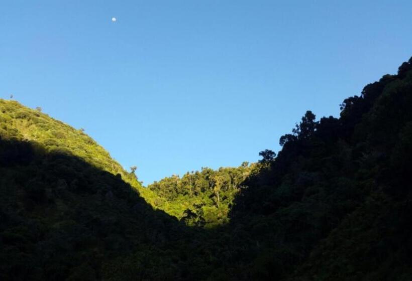 Курорт Dantica Cloud Forest Lodge