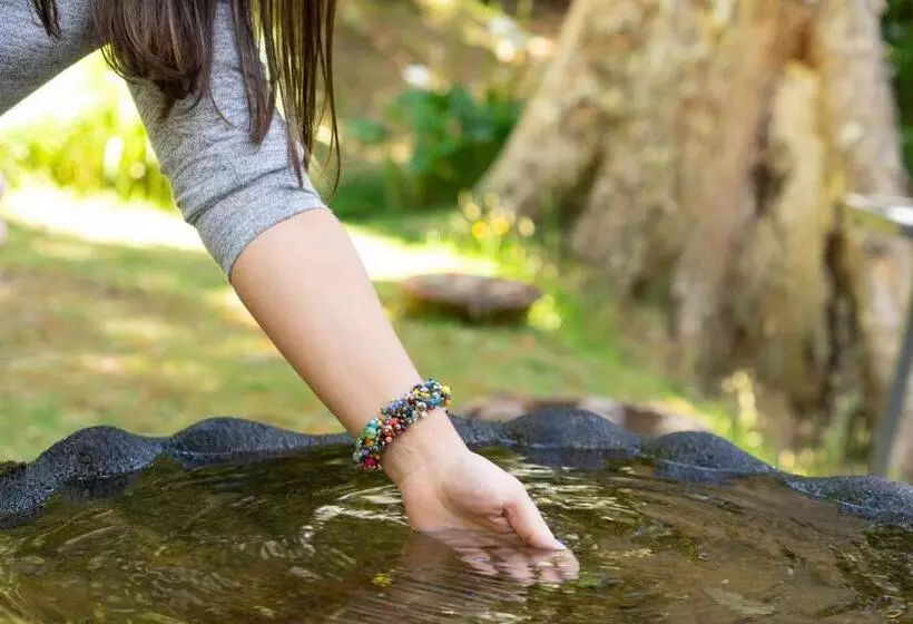 리조트 Dantica Cloud Forest Lodge