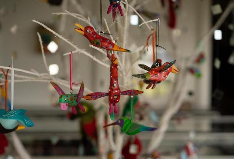 Курорт Dantica Cloud Forest Lodge