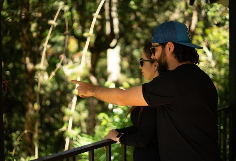 Курорт Dantica Cloud Forest Lodge