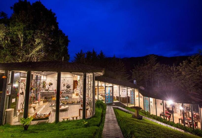 Курорт Dantica Cloud Forest Lodge