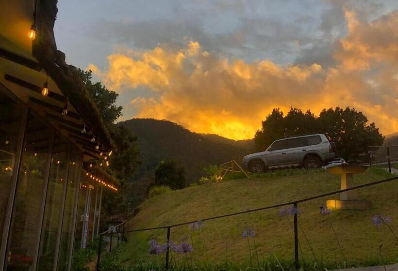 Курорт Dantica Cloud Forest Lodge