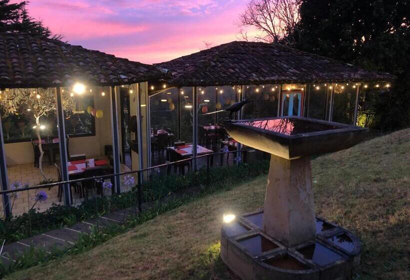 Курорт Dantica Cloud Forest Lodge