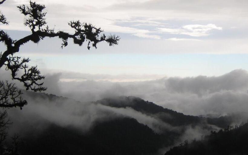 Курорт Dantica Cloud Forest Lodge