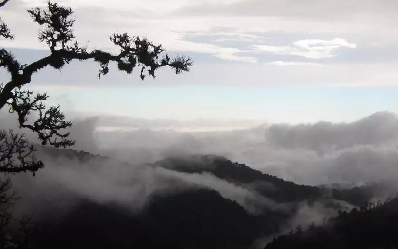 리조트 Dantica Cloud Forest Lodge