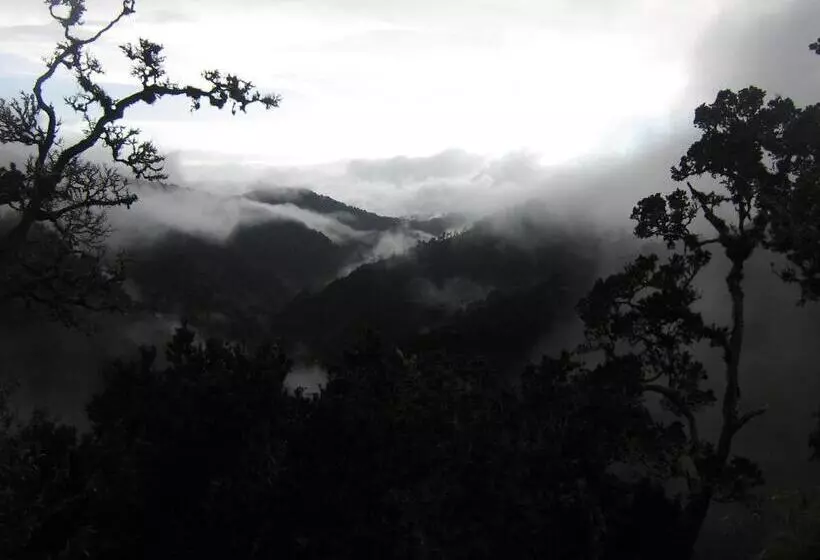 리조트 Dantica Cloud Forest Lodge