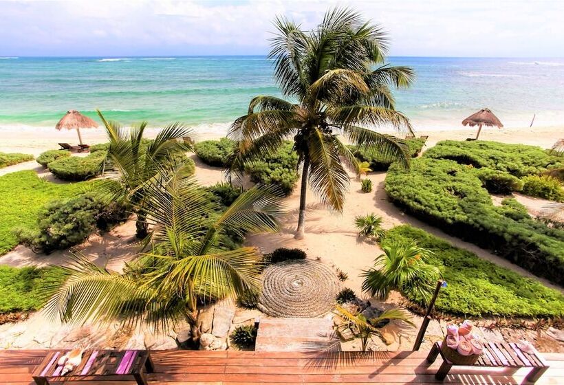 Sian Ka An Luxury   All Inclusive