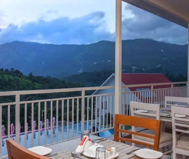 渡假胜地 The Fog Munnar