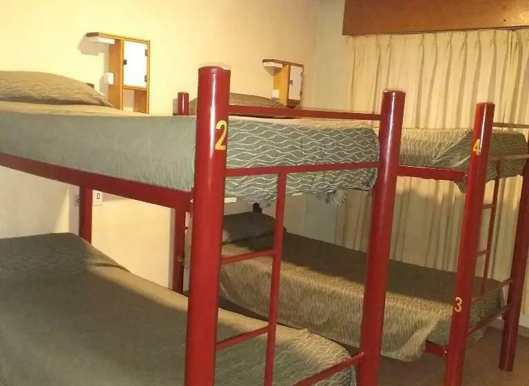 ベッドアンドブレックファースト B Spacio Hostel Y Arte  Habitación Privada Twin  Baño Compartido