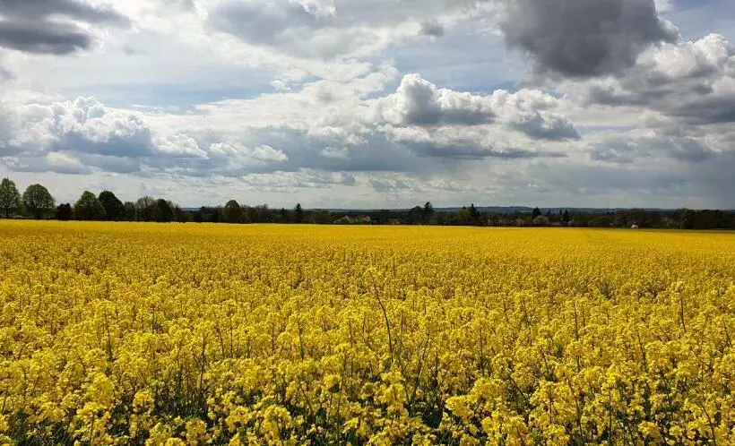 Napfény Apartmanház Balatonberény