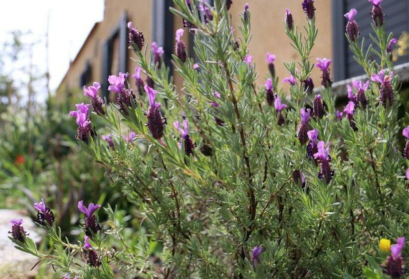 ペンション Stazzu Lu Signori