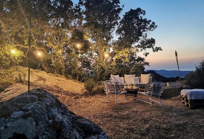 ペンション Stazzu Lu Signori