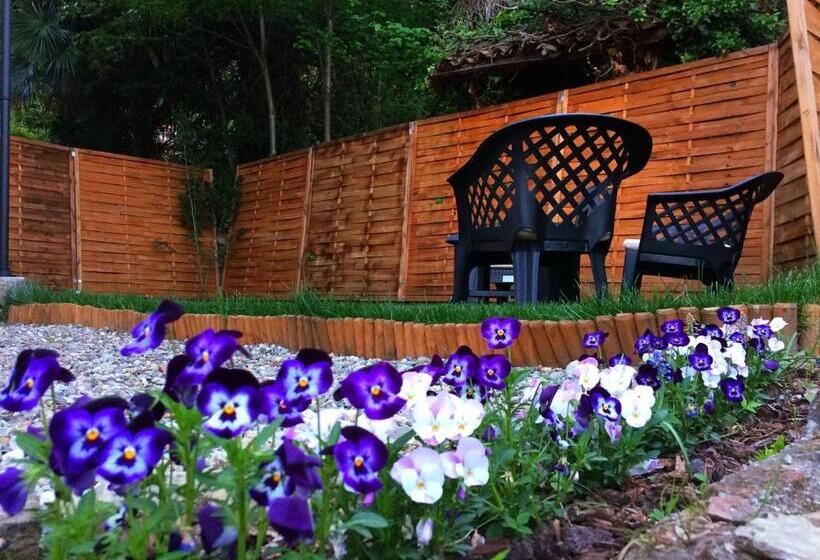 Bed and Breakfast Il Ciliegio Affittacamere