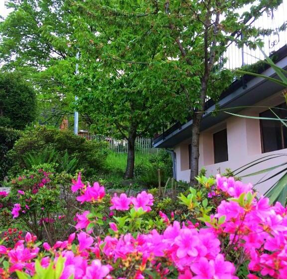 Bed and Breakfast Il Ciliegio Affittacamere