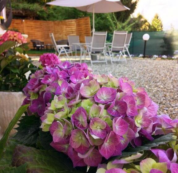 Bed and Breakfast Il Ciliegio Affittacamere