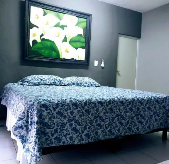 ペンション Casa Ixchel   450m To Downtown, Wifi, Hot Water, Ac