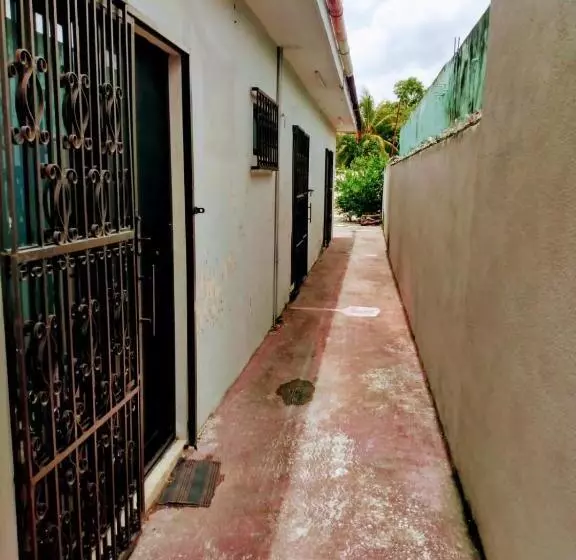 ペンション Casa Ixchel   450m To Downtown, Wifi, Hot Water, Ac