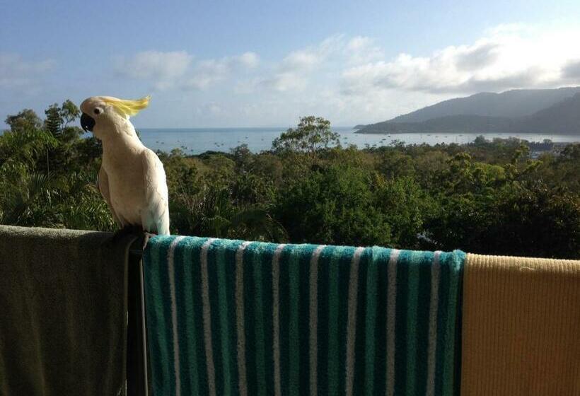 تختخواب و صبحانه Island Views