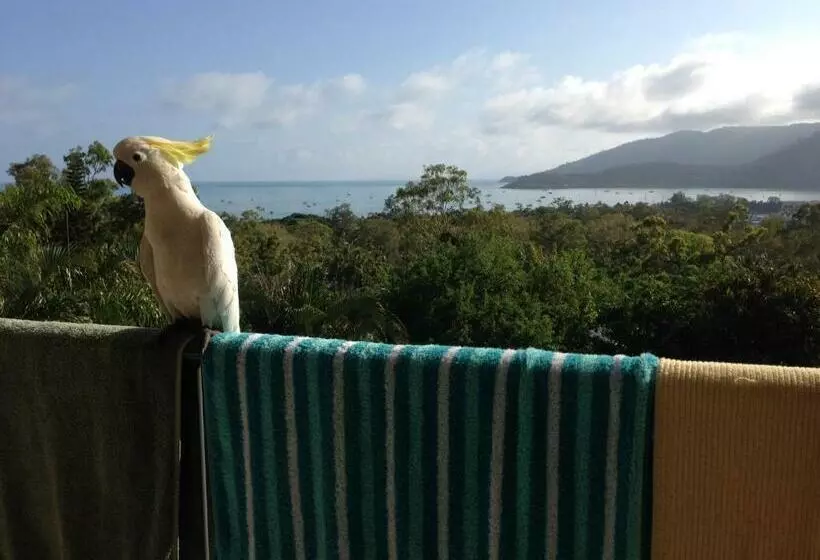 ベッドアンドブレックファースト Island Views