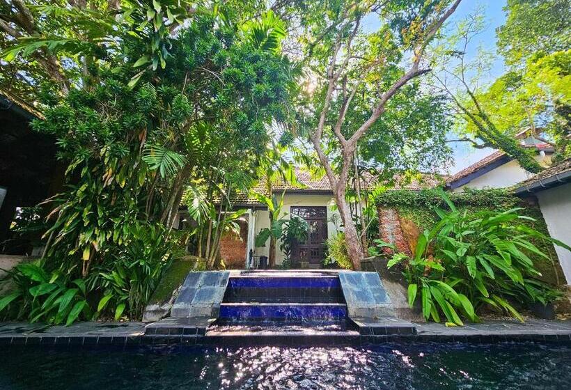 Havelock Place Bungalow