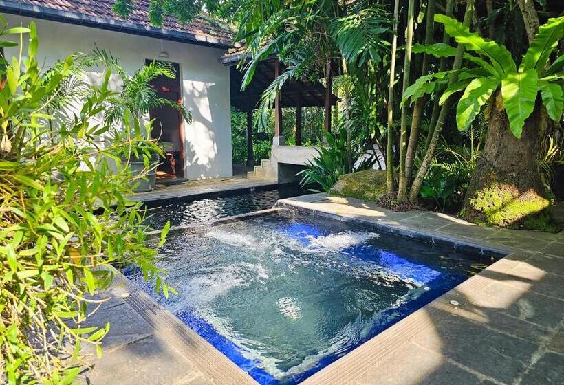 Havelock Place Bungalow