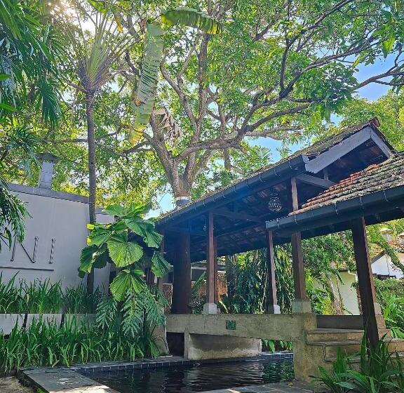 Havelock Place Bungalow