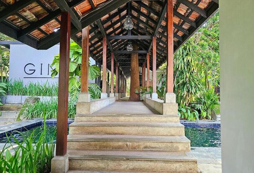 Havelock Place Bungalow