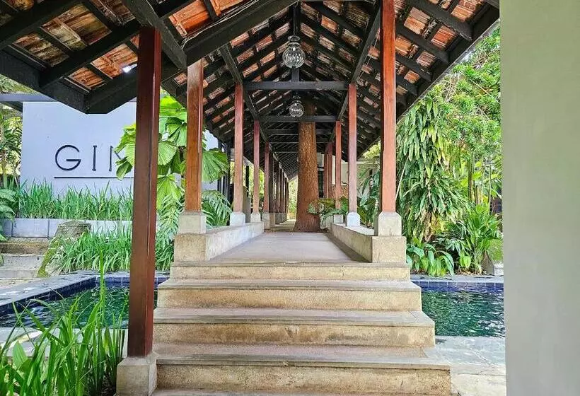 Havelock Place Bungalow