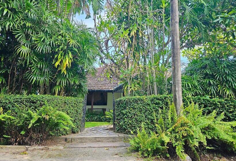 Havelock Place Bungalow