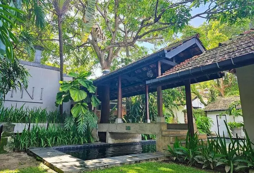 Havelock Place Bungalow