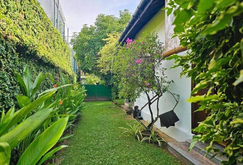 Havelock Place Bungalow