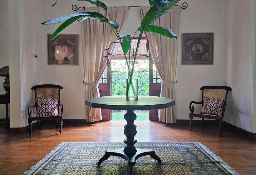 Havelock Place Bungalow