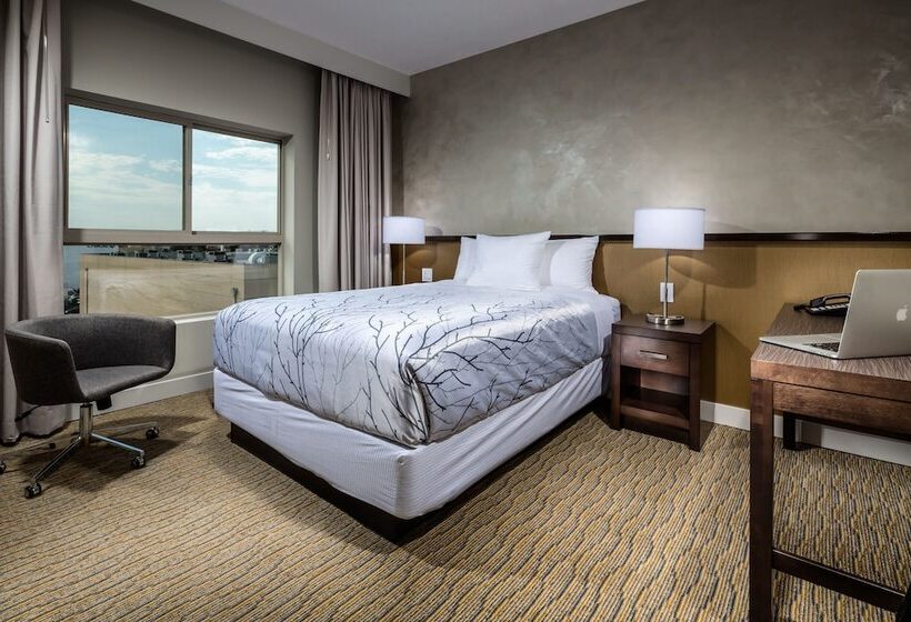 בית מלון כפרי Aventura