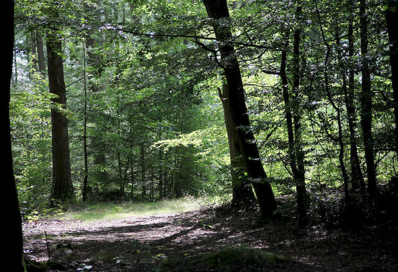 בית מלון כפרי Dancamps Hampen