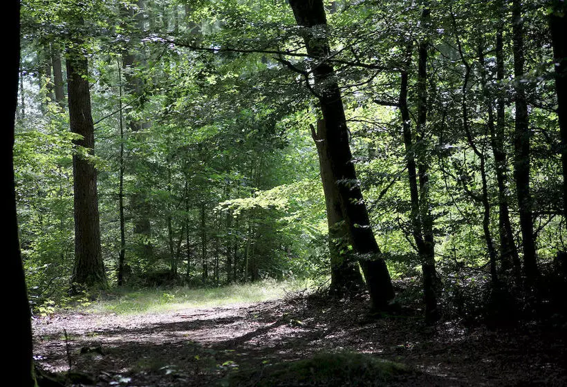 Отель Dancamps Hampen