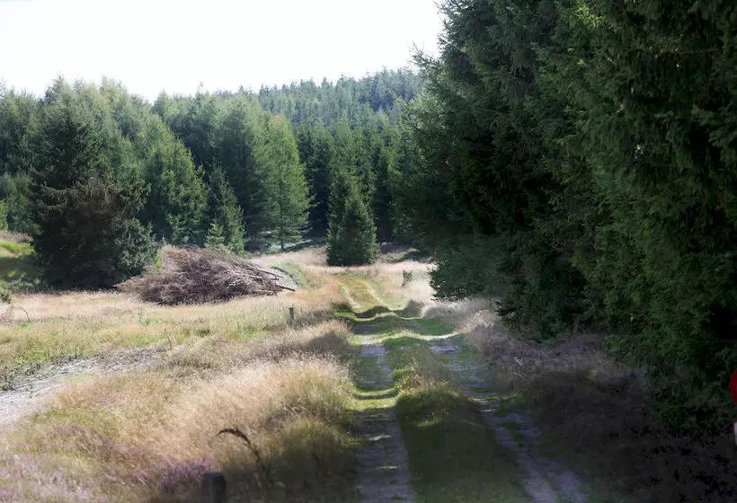 Отель Dancamps Hampen