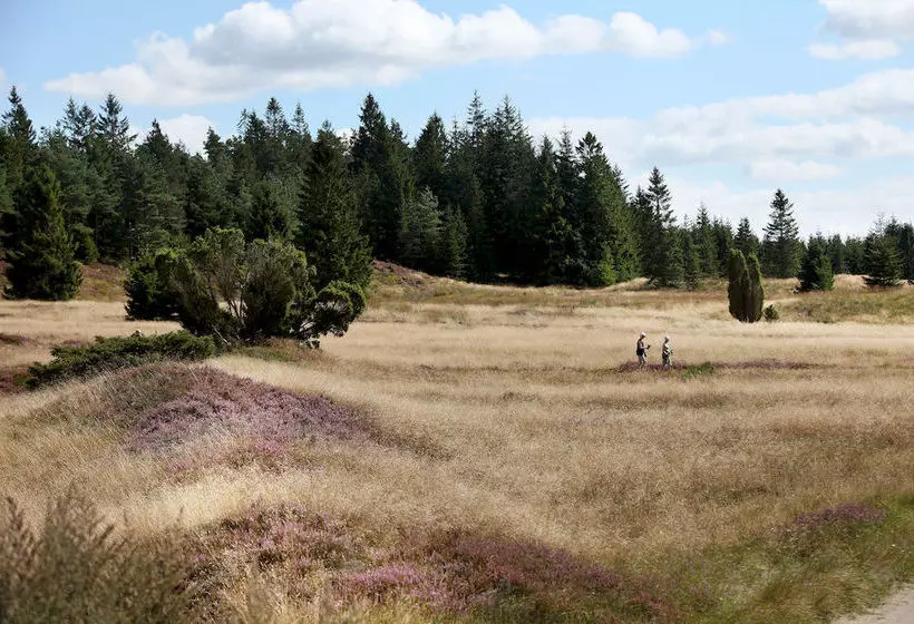 Отель Dancamps Hampen