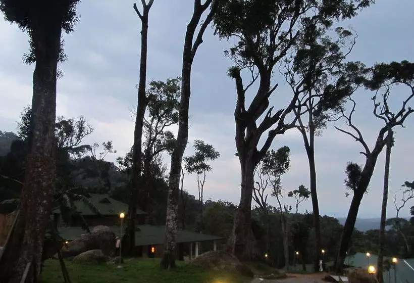 Отель Neelakurunji Plantation Munnar