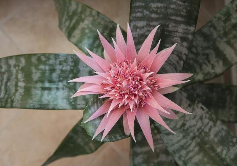 Szálloda Apartment Iskra