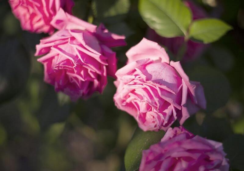 Szálloda Apartment Iskra