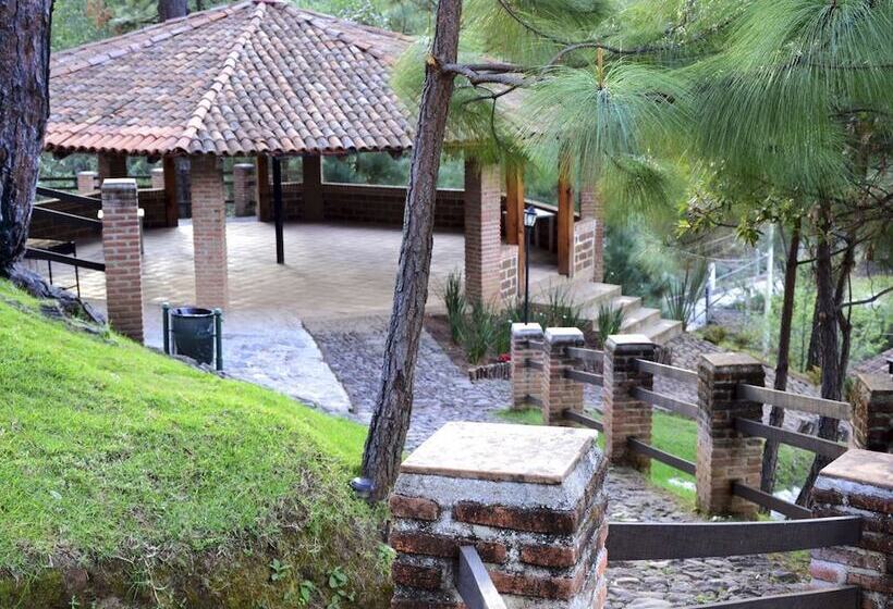 Hotel Bosque La Luna