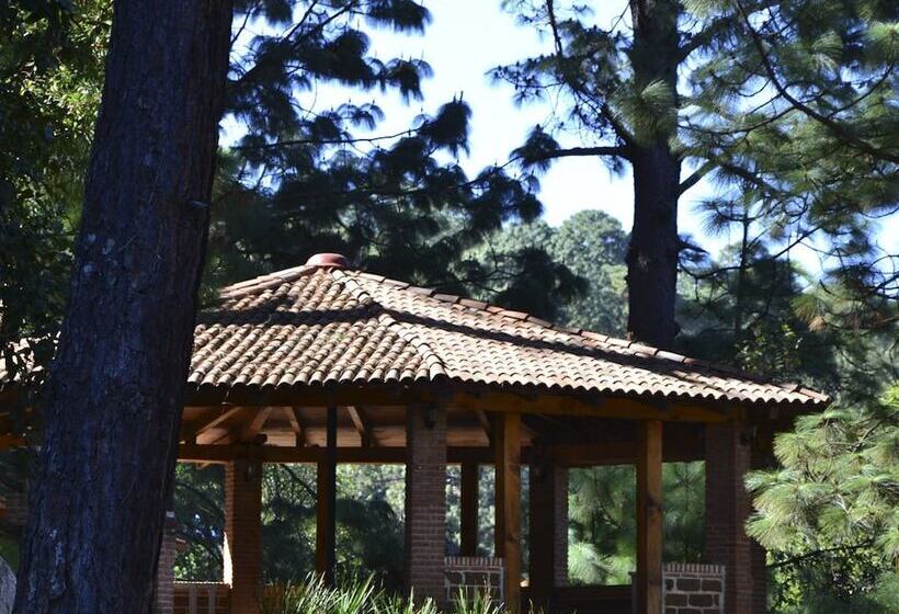 Hotel Bosque La Luna