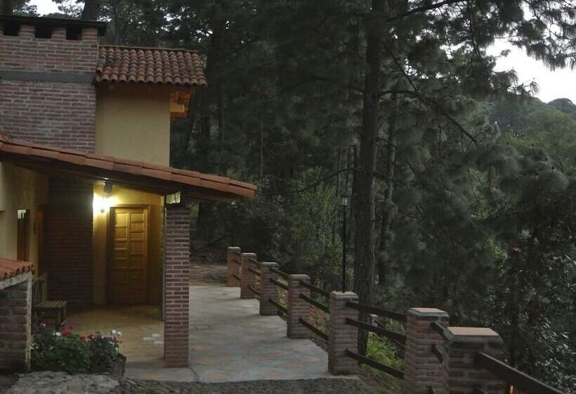 Hotel Bosque La Luna