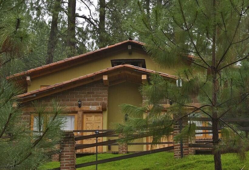 Hotel Bosque La Luna