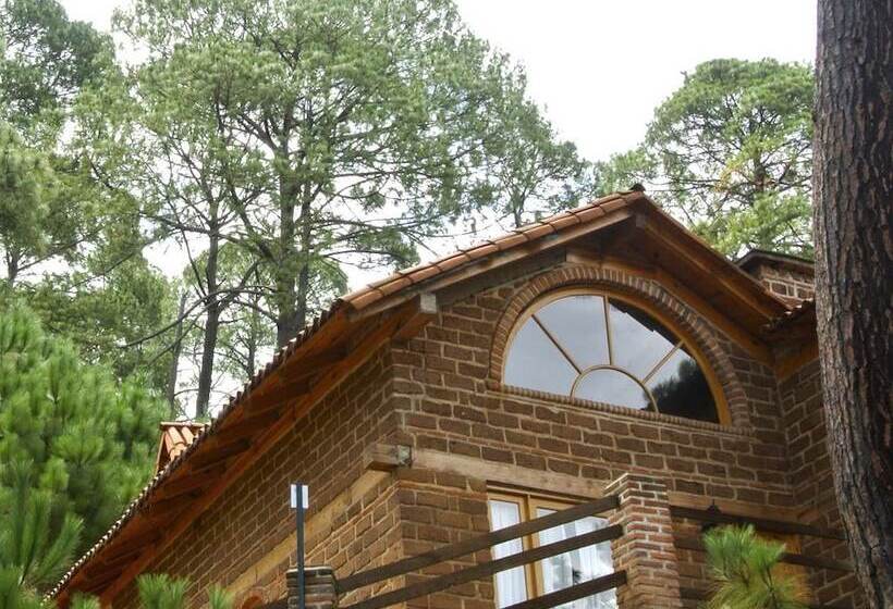 Hotel Bosque La Luna