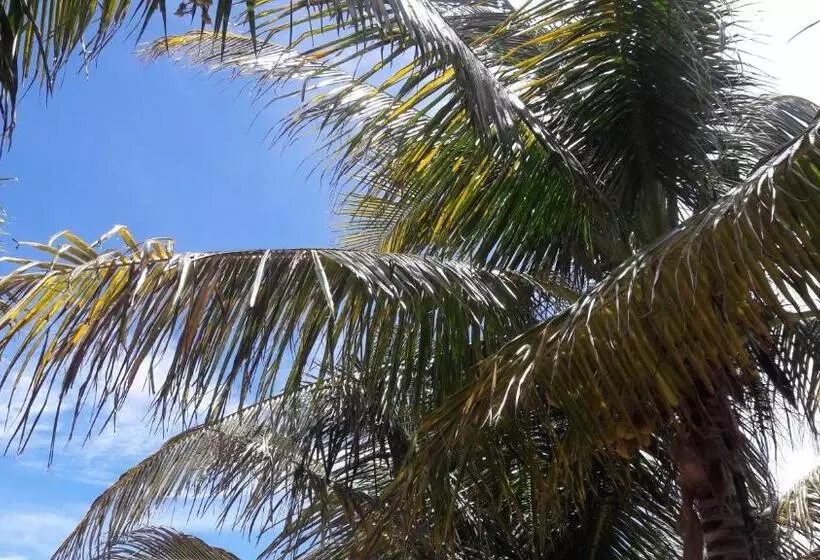 Margarita Del Sol Hotel Costa Maya