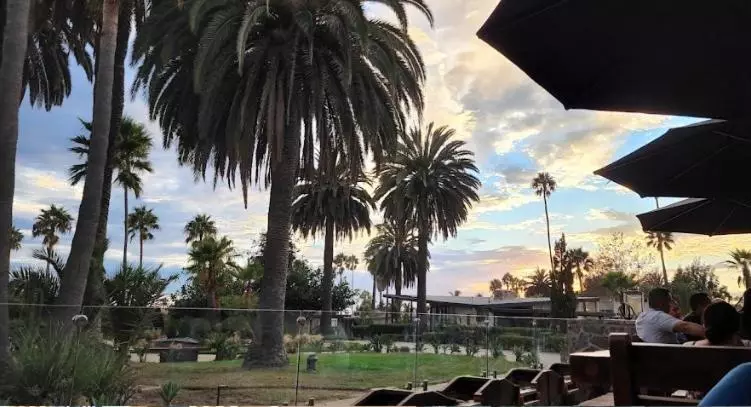 Hotelli Quintas Papagayo