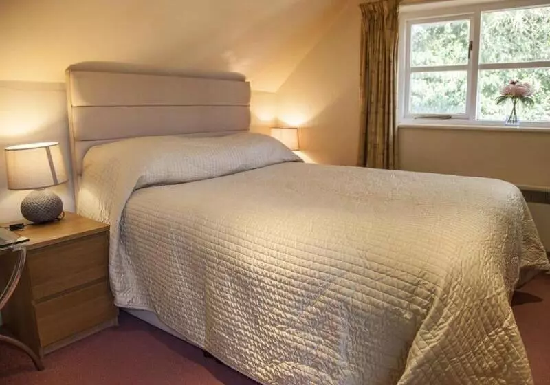 Отель The Hatchet Inn